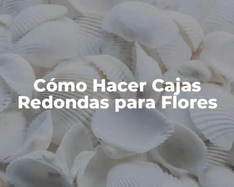 Cómo Hacer Cajas Redondas para Flores