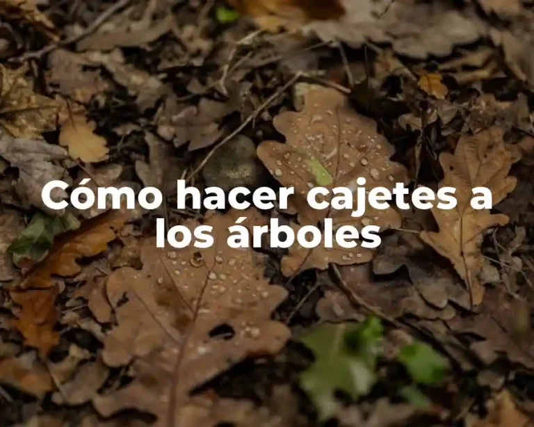 Cómo hacer cajetes a los árboles