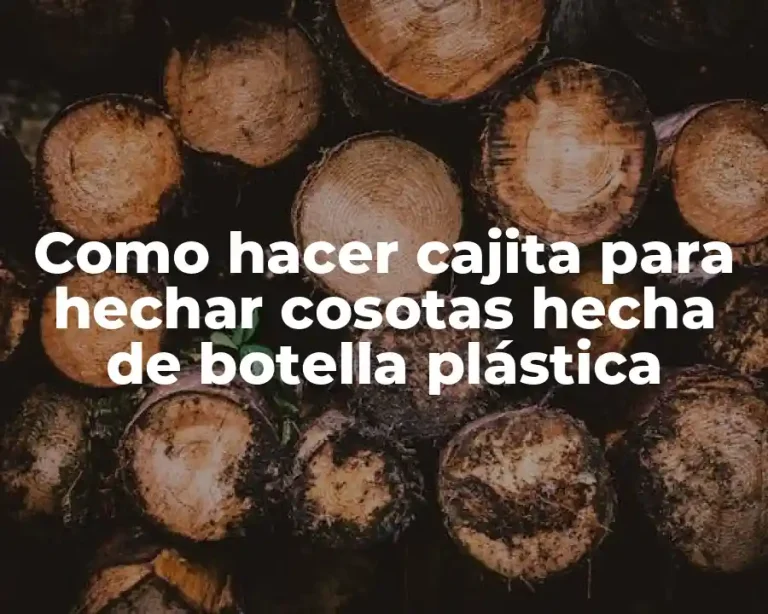 Como hacer cajita para hechar cosotas hecha de botella plástica