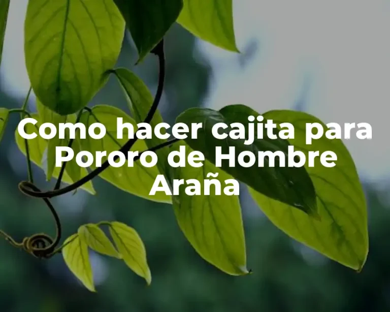 Como hacer cajita para Pororo de Hombre Araña