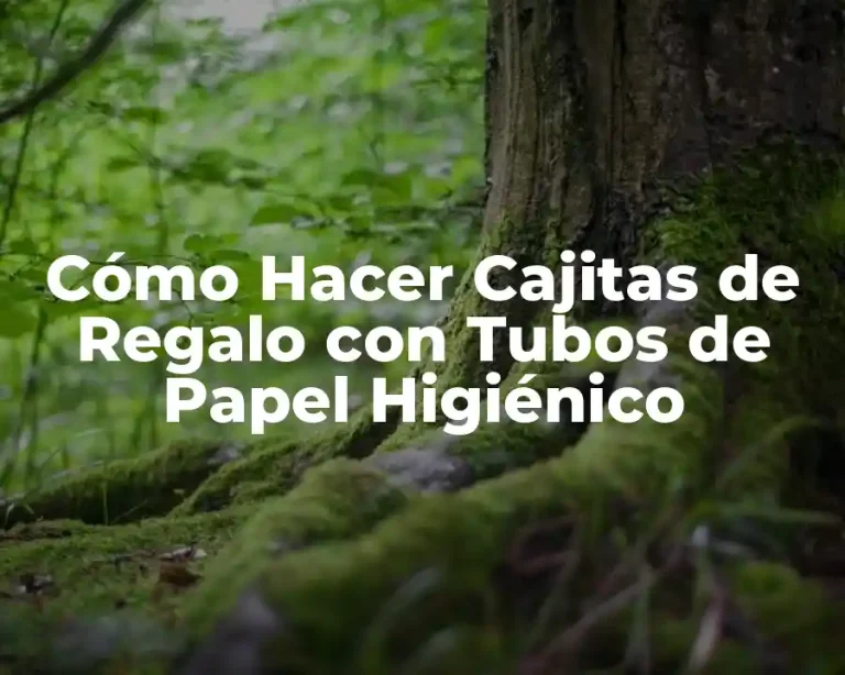 Cómo Hacer Cajitas de Regalo con Tubos de Papel Higiénico