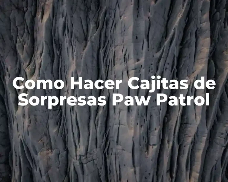 Como Hacer Cajitas de Sorpresas Paw Patrol
