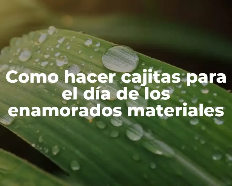 Como hacer cajitas para el día de los enamorados materiales