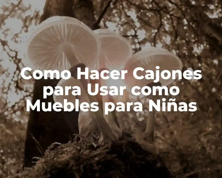 Como Hacer Cajones para Usar como Muebles para Niñas