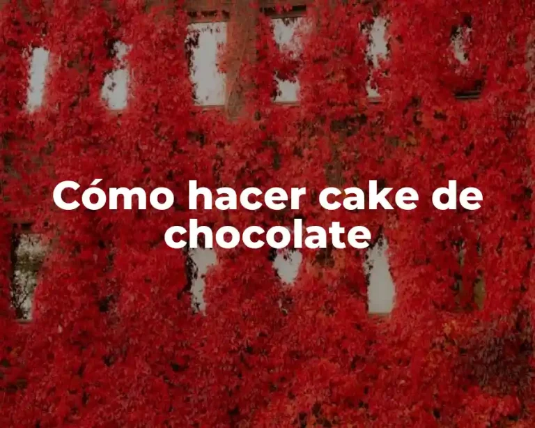 Cómo hacer cake de chocolate