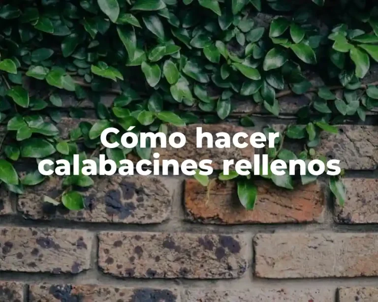 Cómo hacer calabacines rellenos