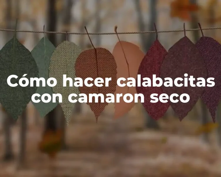 Cómo hacer calabacitas con camaron seco