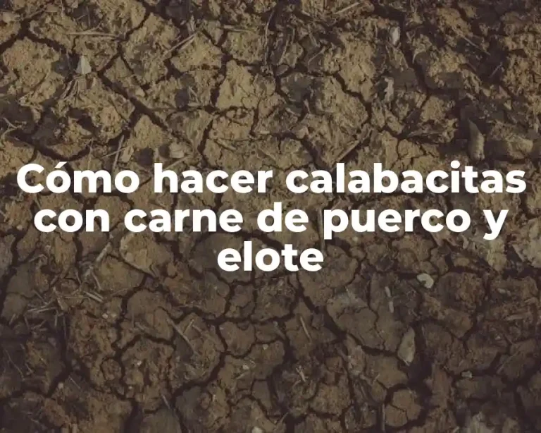 Cómo hacer calabacitas con carne de puerco y elote