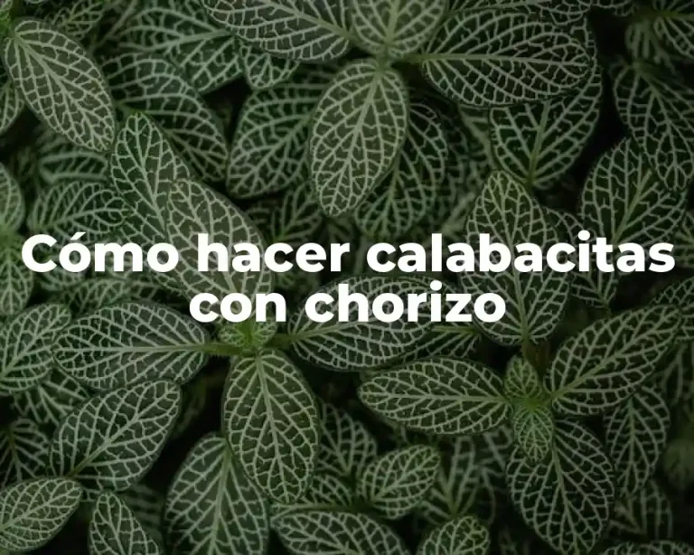 Cómo hacer calabacitas con chorizo