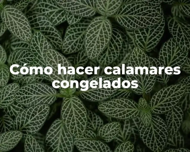 Cómo hacer calamares congelados