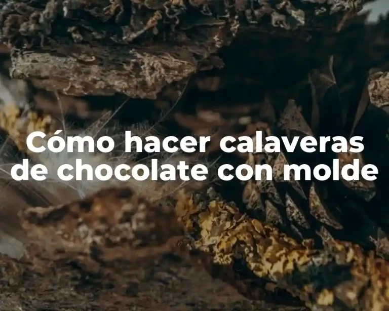 Cómo hacer calaveras de chocolate con molde