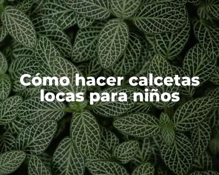 Cómo hacer calcetas locas para niños