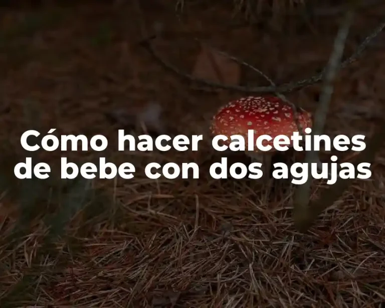 Cómo hacer calcetines de bebe con dos agujas