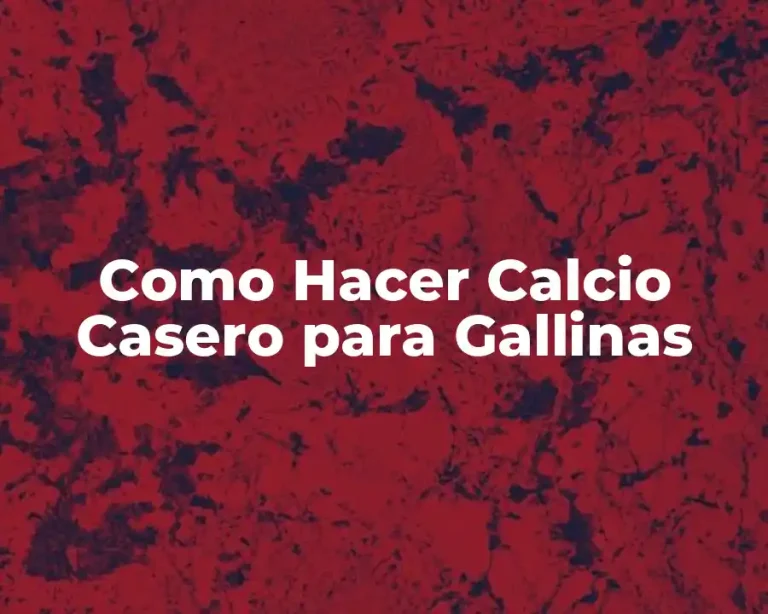 Como Hacer Calcio Casero para Gallinas