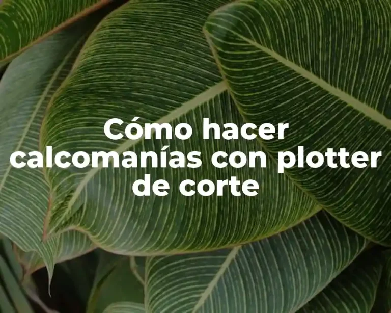 Cómo hacer calcomanías con plotter de corte