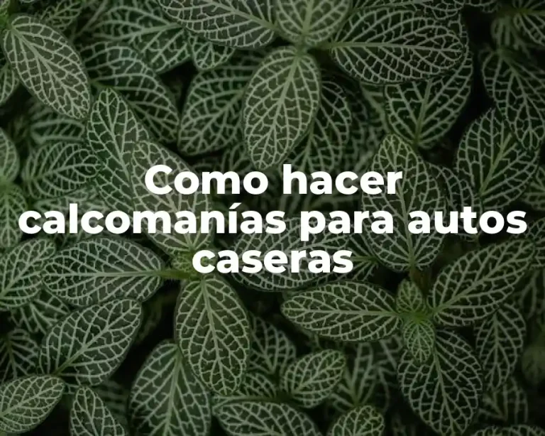 Como hacer calcomanías para autos caseras