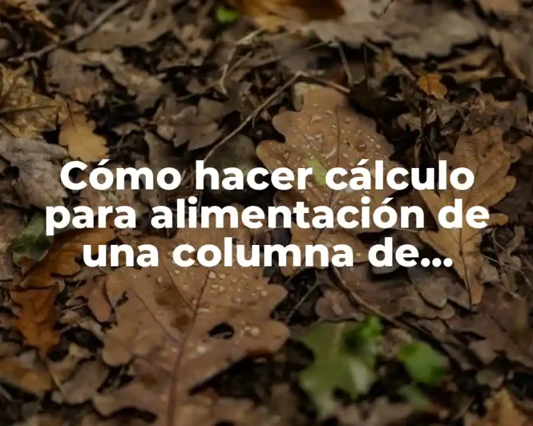 Cómo hacer cálculo para alimentación de una columna de lixiviación