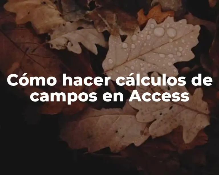 Cómo hacer cálculos de campos en Access