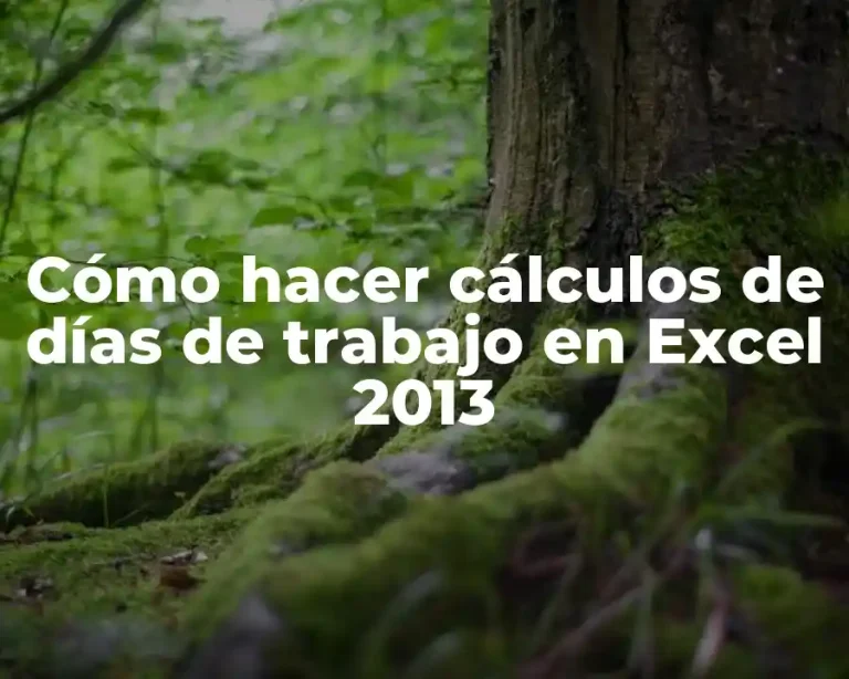 Cómo hacer cálculos de días de trabajo en Excel 2013