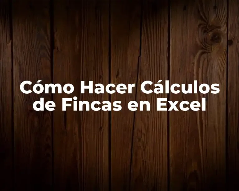 Cómo Hacer Cálculos de Fincas en Excel