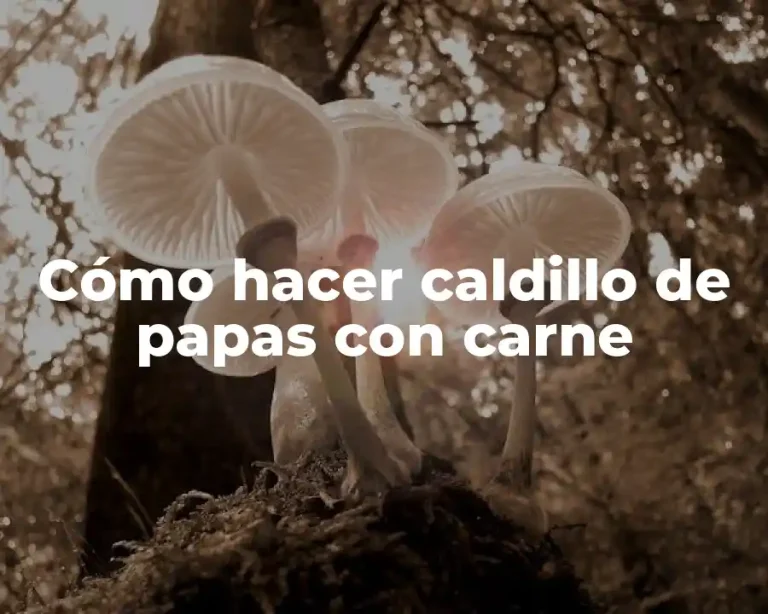 Cómo hacer caldillo de papas con carne