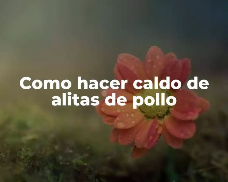 Como hacer caldo de alitas de pollo