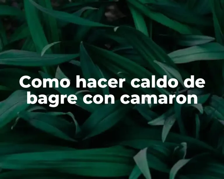 Como hacer caldo de bagre con camaron