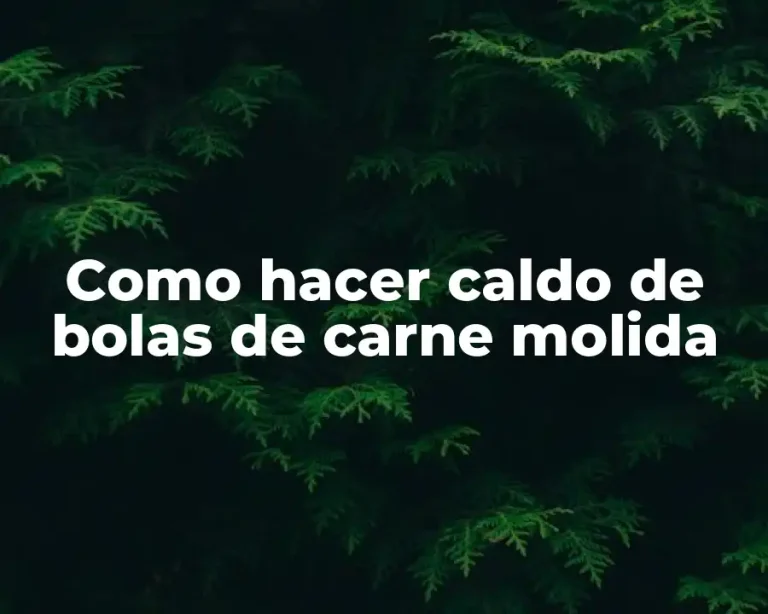 Como hacer caldo de bolas de carne molida