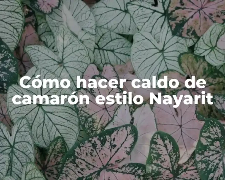 Cómo hacer caldo de camarón estilo Nayarit