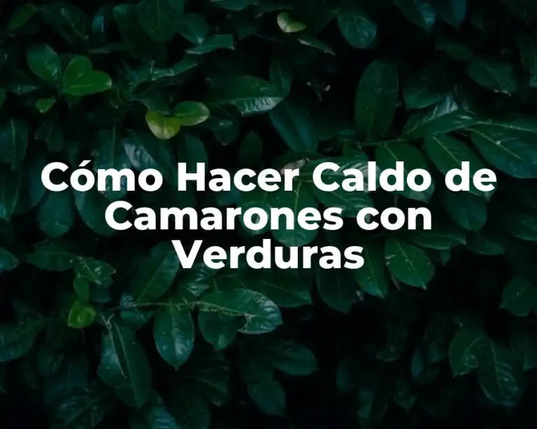 Cómo Hacer Caldo de Camarones con Verduras