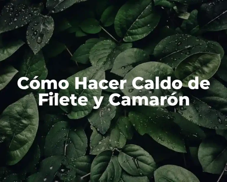Cómo Hacer Caldo de Filete y Camarón