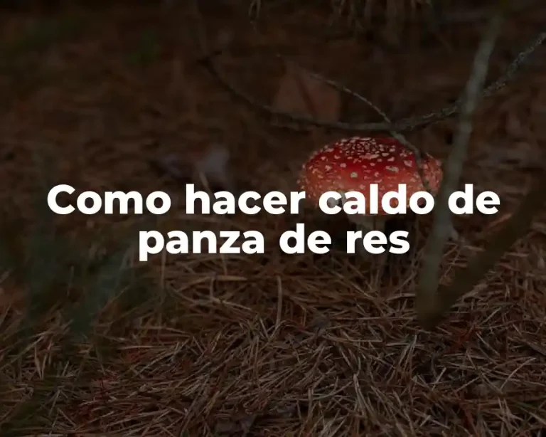 Como hacer caldo de panza de res