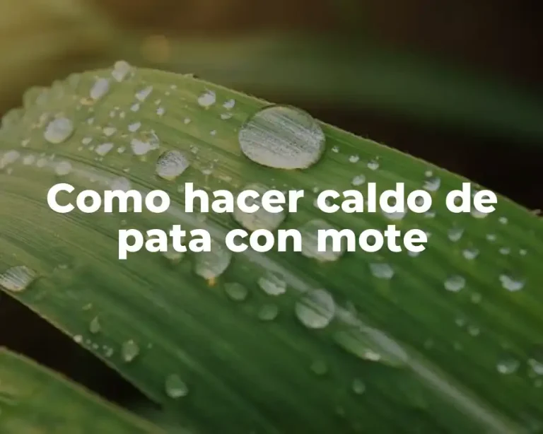 Como hacer caldo de pata con mote