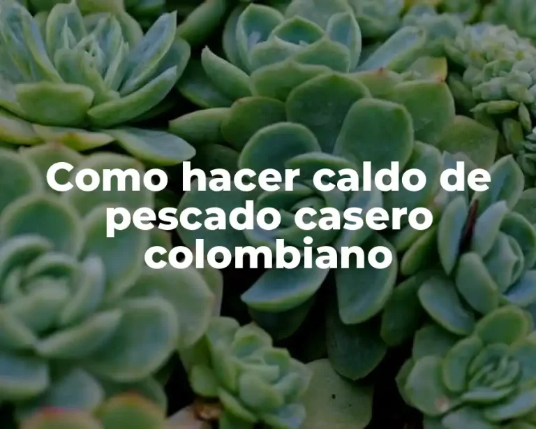 Como hacer caldo de pescado casero colombiano