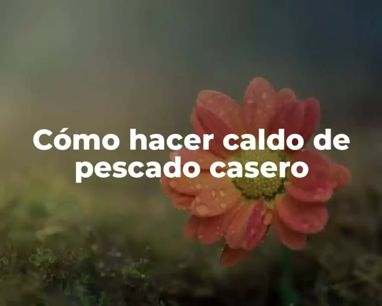 Cómo hacer caldo de pescado casero