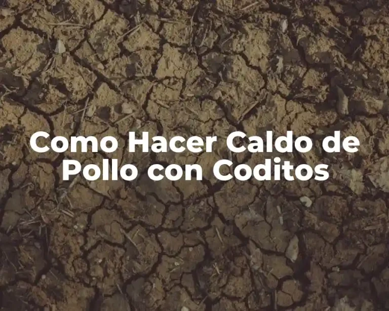 Como Hacer Caldo de Pollo con Coditos