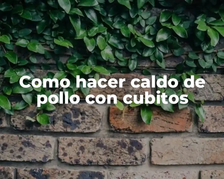 Como hacer caldo de pollo con cubitos