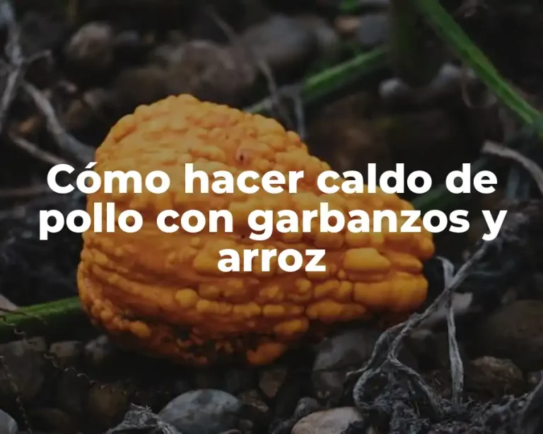 Cómo hacer caldo de pollo con garbanzos y arroz