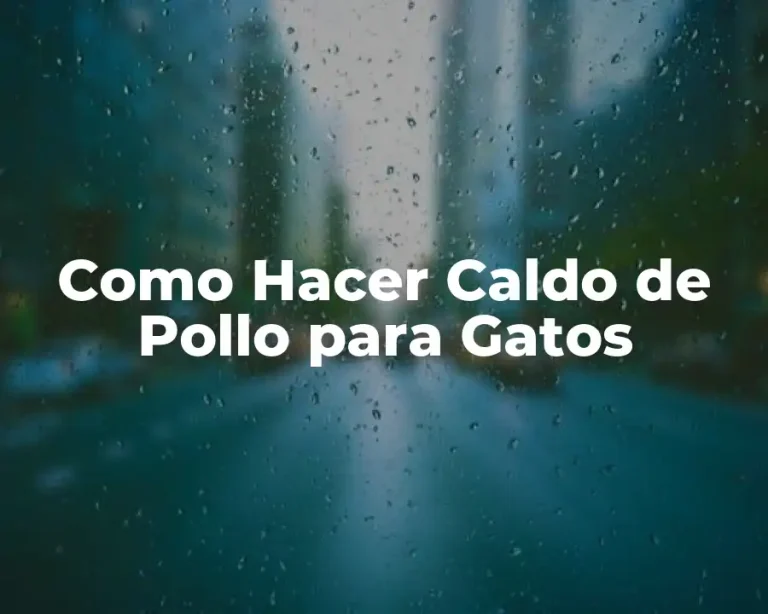 Como Hacer Caldo de Pollo para Gatos