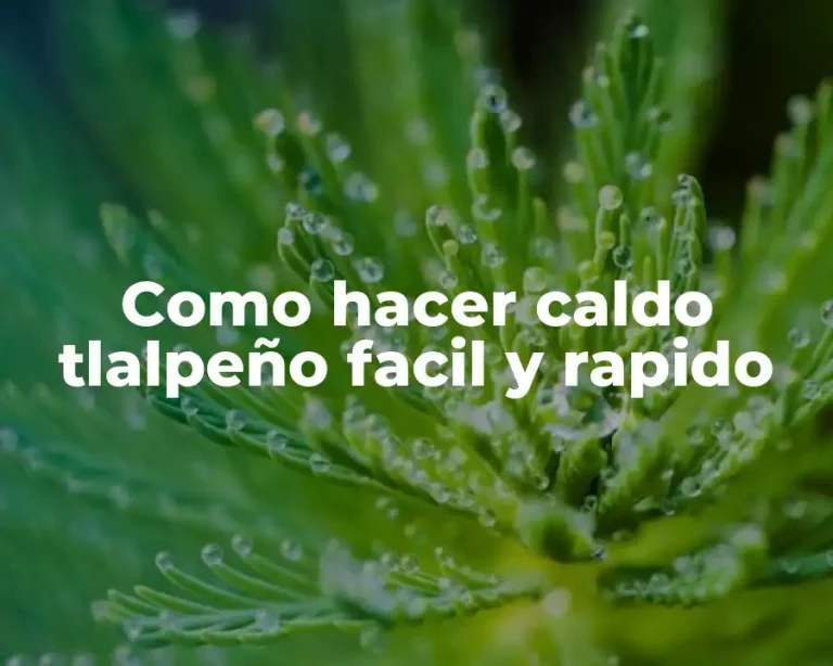 Como hacer caldo tlalpeño facil y rapido
