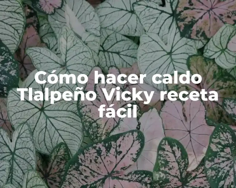 Cómo hacer caldo Tlalpeño Vicky receta fácil