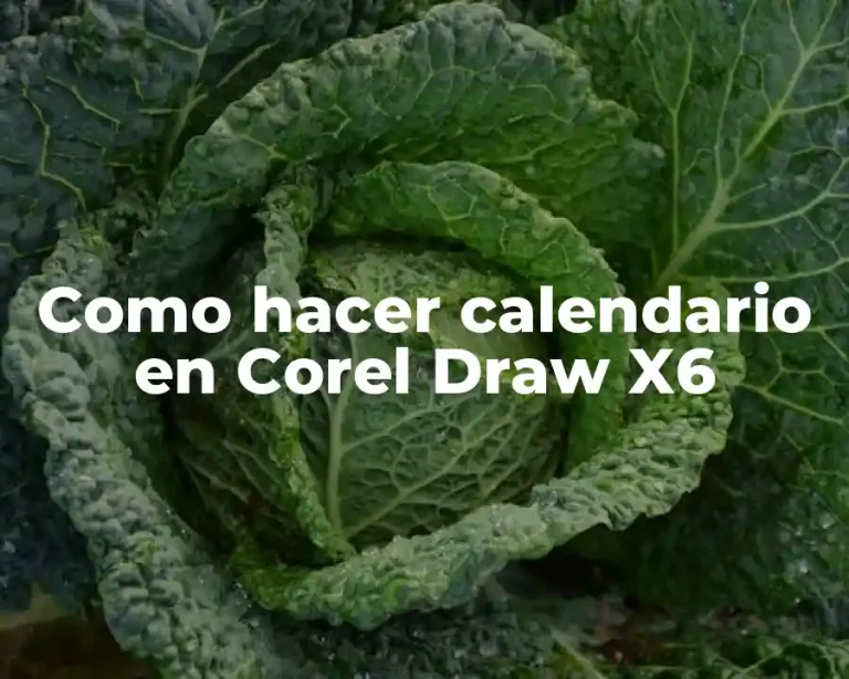Como hacer calendario en Corel Draw X6