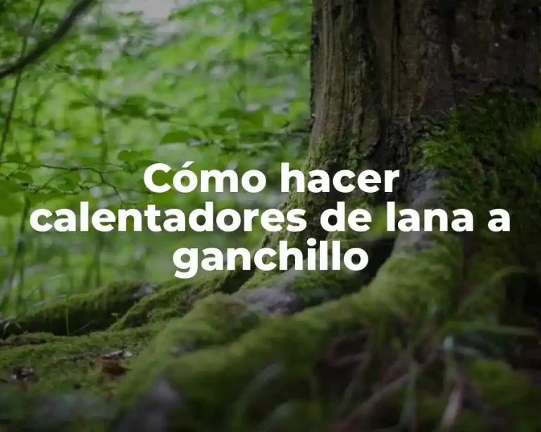 Cómo hacer calentadores de lana a ganchillo