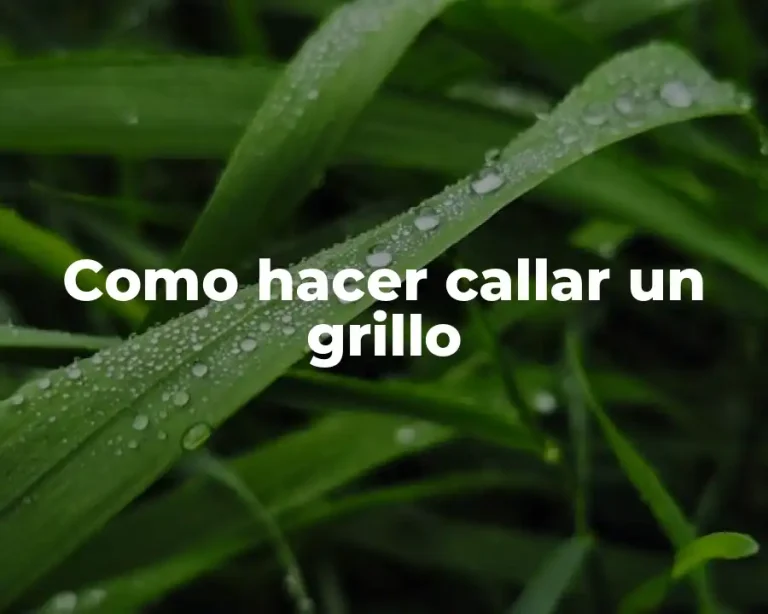 Como hacer callar un grillo