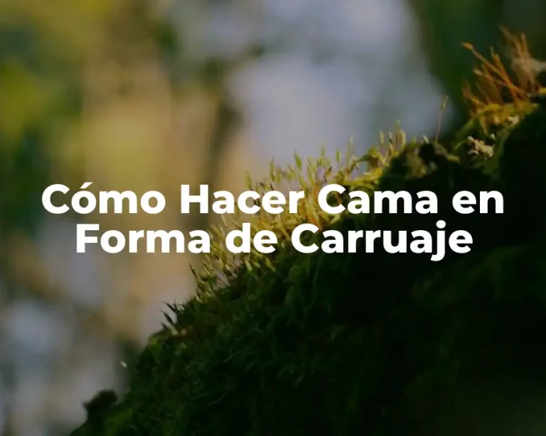 Cómo Hacer Cama en Forma de Carruaje