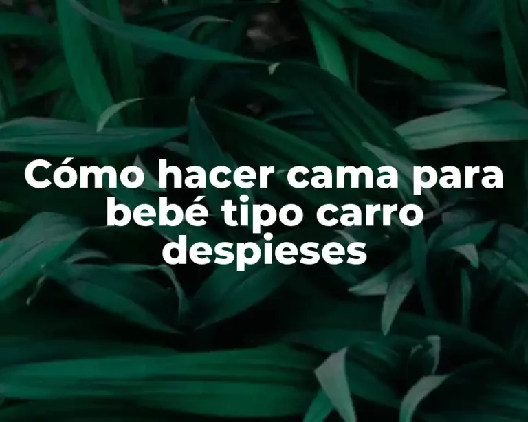 Cómo hacer cama para bebé tipo carro despieses