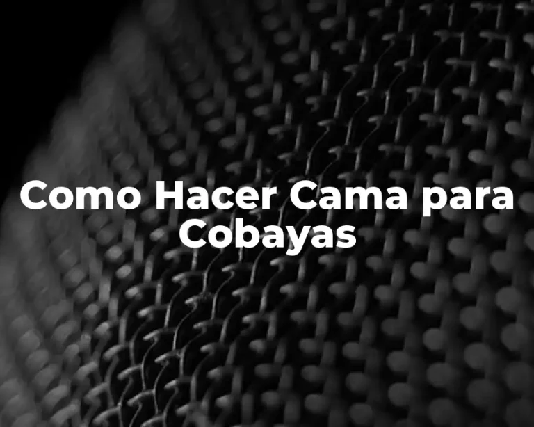 Como Hacer Cama para Cobayas