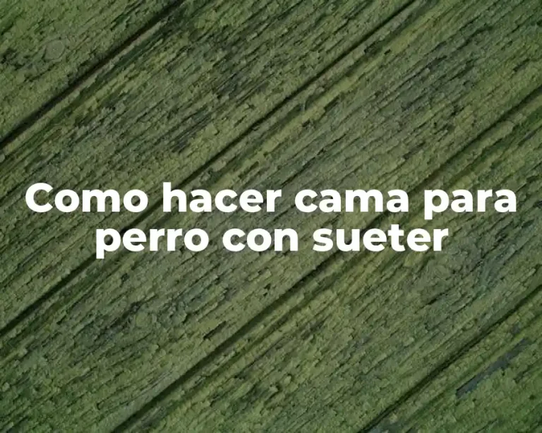 Como hacer cama para perro con sueter