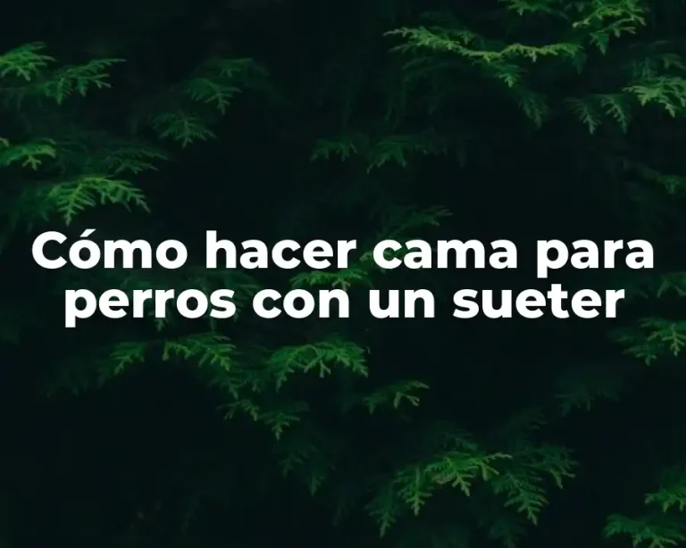Cómo hacer cama para perros con un sueter