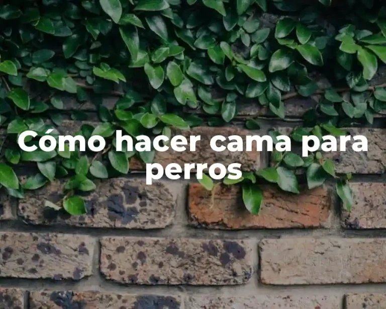 Cómo hacer cama para perros